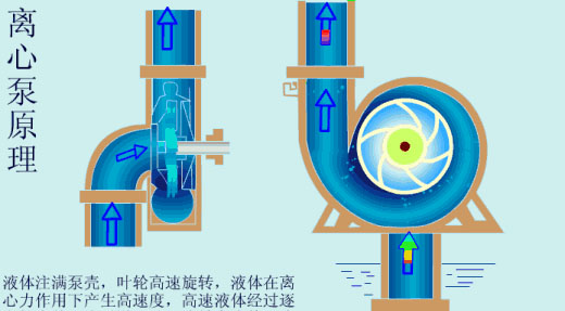 給（gei）水泵、給（ji）水泵別再傻傻分不清楚（內含動畫）